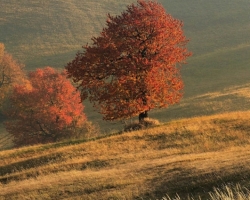 Šepot suchých tráv, šumenie ohnivých listov čerešní a dlhé tiene kresliace svoje maľby po kopčekoch. to sú úchvatné obrazy jesenných rán v Bielych Karpatoch.
