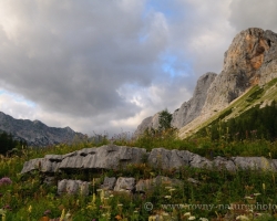 Flat stone decorate garden Triglav Lakes Valley