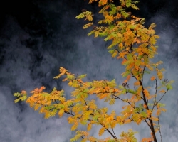 Rumbling water, water vapor, rowan colors and sunshine dominated the picture.