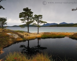 Fotografia zachytáva tmavú vodu drobného jazierka v kamennej priehlbni na brehoch fjordu, kde stekajú po kvapkách tmavé výluhy nasiaknutých pôd a odrážajú sa siluety borovíc.