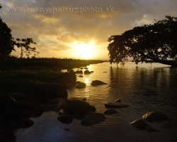 Tropical night comes quickly. The sun touches the horizon, the last rays bounce off the surface of the river and from the trees start sing theier song first frogs and cicadas.