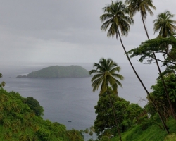 In the rainy season, watered warm rain regularly palms, sea and islands ......