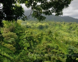 Lost and hidden are fields of farmers from Saint Vincent ....