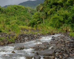 Quickly diverting river water from the jungle, which is strained daily from clouds to tropical rainforest.