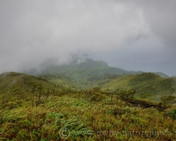 When the sharp cold wind tore at the moment clouds and mist, open was view from volcano La Soufriere to jungle and Caribbean Sea.