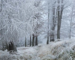 Beautiful, fabulous and a little sad at the same time are the silver paths throgh carpathian meadows.