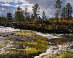 Picture captures one of the thousands of Norwegian crystal river sceneries.