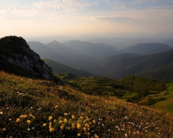 The evening of Mala Fatra hills covered with colorful fragrant flowers