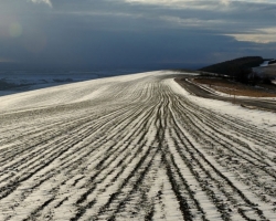 Field lines as long threads run beside the rolling hills to see what brings cool blue cloud.