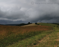 Only grass rustled under the onslaught of wind, become quiet birds singing and insects buzzing with the arrival of rains lead to whitecarpatian hills.