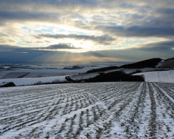 Ceraal grains sleep in rows in frozen ground and wait until the sun dissolves ice armor.