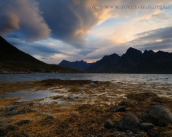 Noc sa pomaličky odkráda po špičkách za končiare kopcov vyrastajúcich zo sivomodrého fjordu. Prvé lúče sa odrážajú od uháňajúcich oblakov aby sa zastavili na zlatých riasach obnažených morským odlivom.