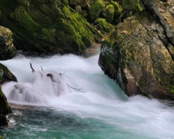 Clear water of Radovna river / Vintgar /